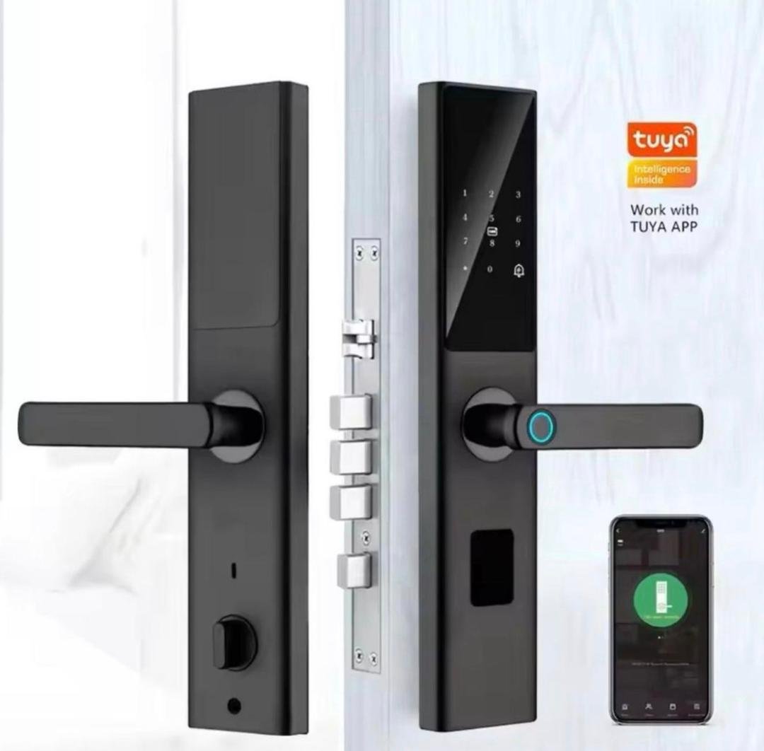 Tuya Classic Biometric Lever Lock
